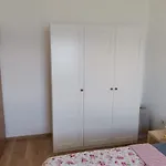 Bistrica Sunce スティヴァン
